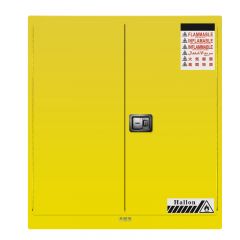 Cabinet, Flammable Storage, 2 door, 2 shelf, HALLON (HL100090Y)